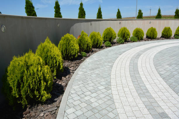 Best Driveway Paving Company  in Flowery Branch, GA